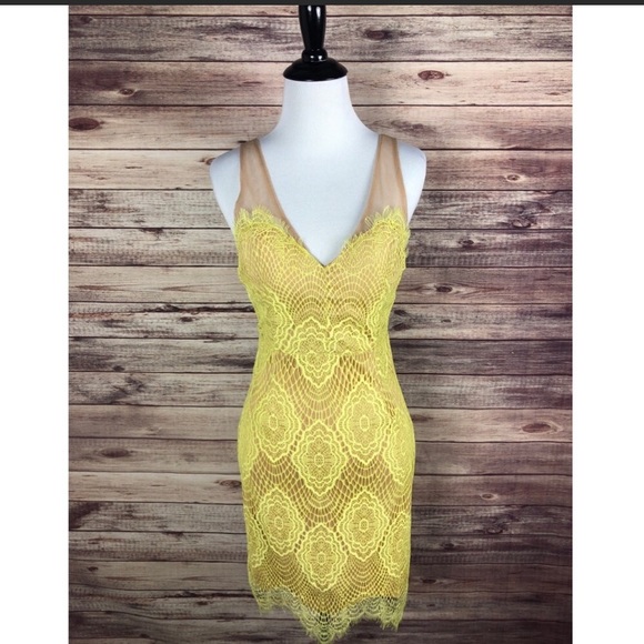 Latiste by amy Dresses & Skirts - L’atiste By Amy Lime Green Mesh Lace Dress